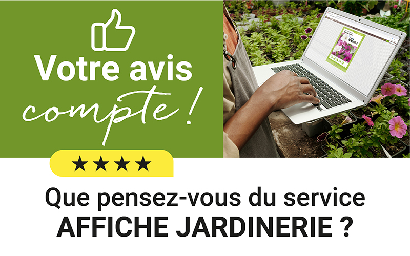 Avis client